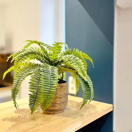 L'ecrin - 2 Pieces - Le Suquet