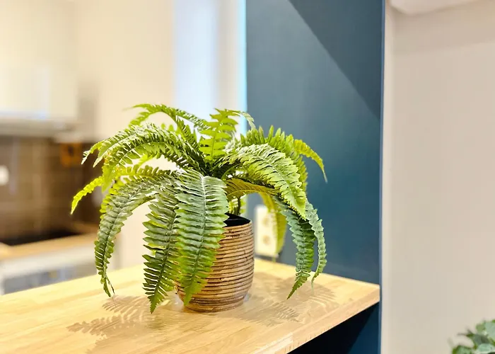 L'ecrin - 2 Pieces - Le Suquet
